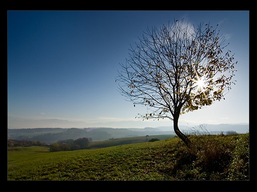 Samotár nad Lietavou