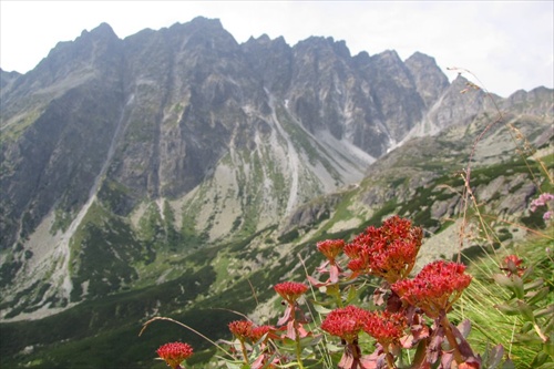 Mengusovská dolina