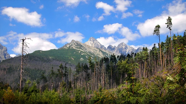 Vysoké Tatry