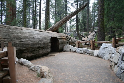 Sequoia National Park