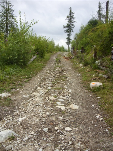 Tatry I