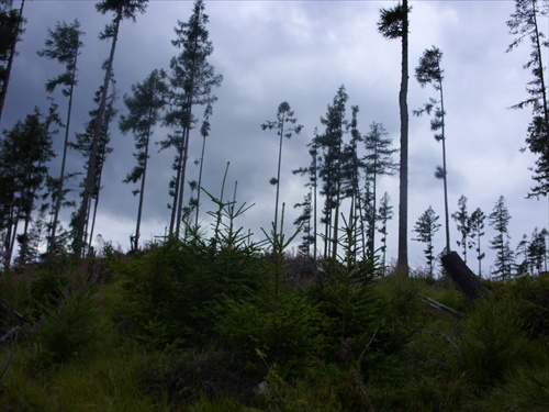 Tatry V