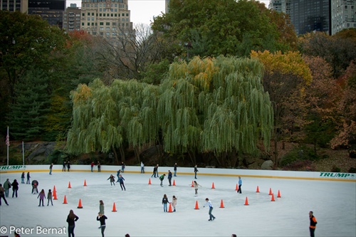 Central Park