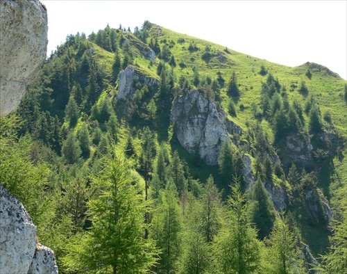 Poľovníckym chodníkom na Ostrú