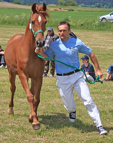 Zladeným krokom...