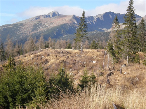 Vysoké Tatry