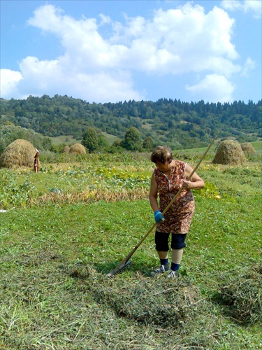 Starká at work :)