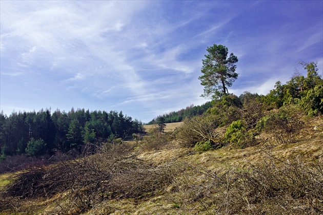 Rúbanisko