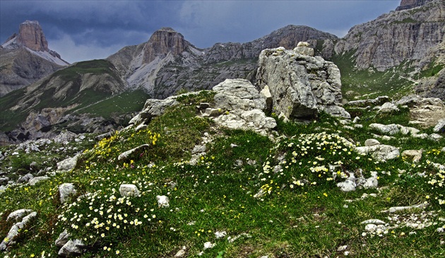 Alpská záhrada