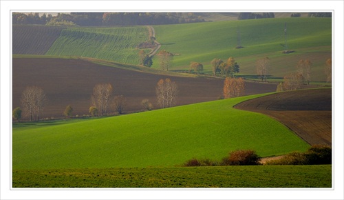 Turčianske krivky