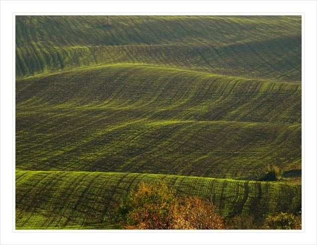 Jesenné vlnenie