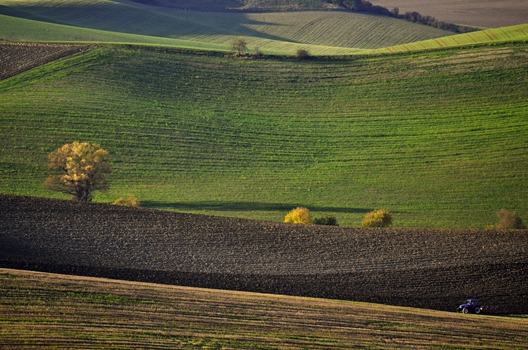 Slovenské Toskánsko 2