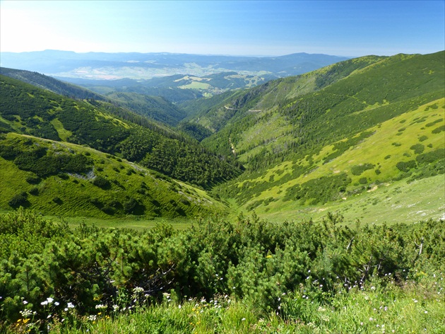 Pohlad zo štefáničky