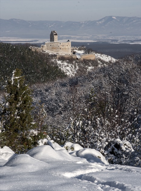 Topoľčiansky hrad