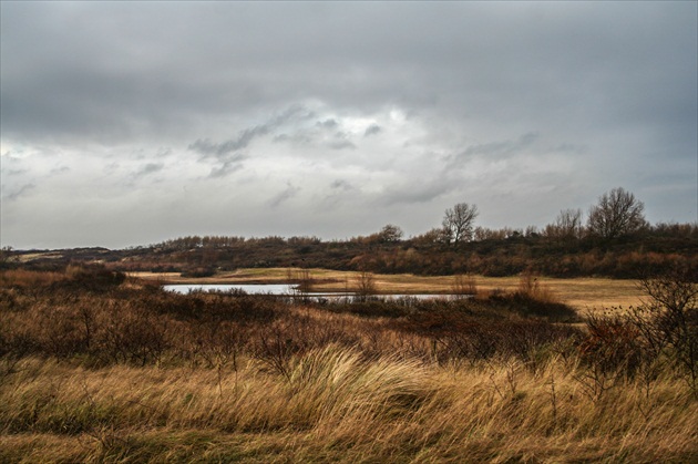 Veterna krajina