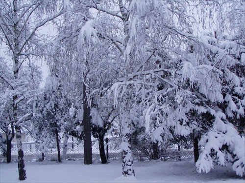 Kalinovská zima