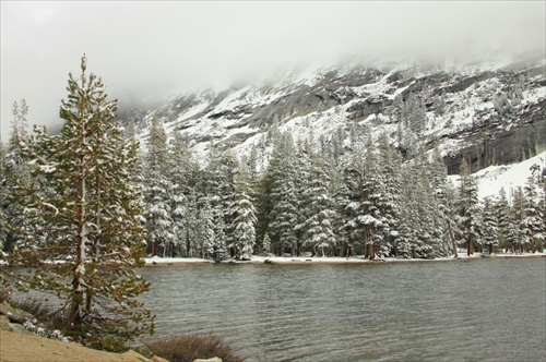 Yosemite National Park, California