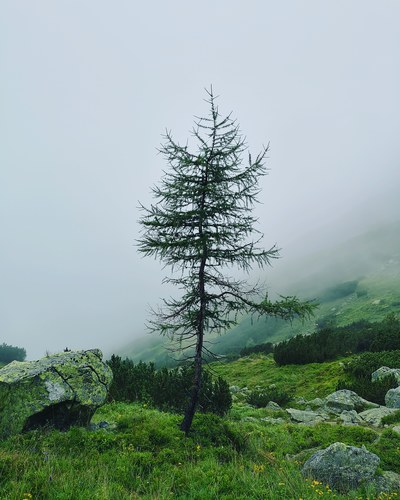 V Žiarskej doline 