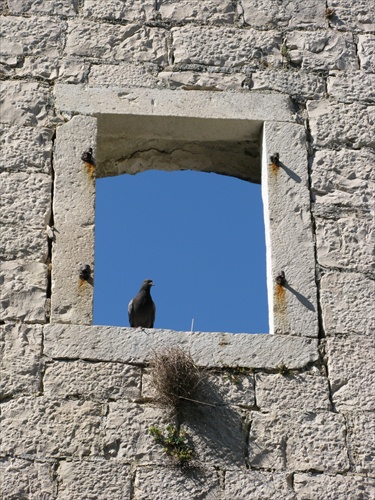 Konečne dali preč tú mrežu...