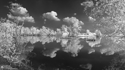 IR Panorama