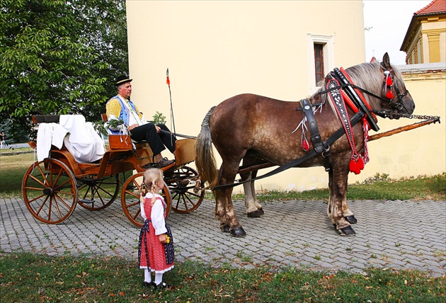 čakanie na nevestu