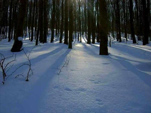 krajina tieňov