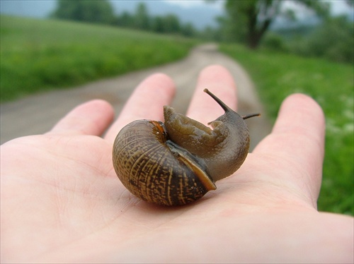 Pozri sa! Cesta ani tam nekončí.