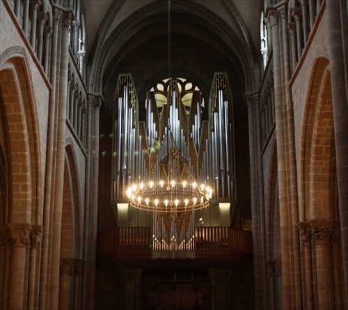 Organ