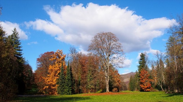 Betliarsky park