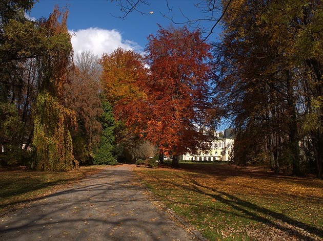 Betliarsky park