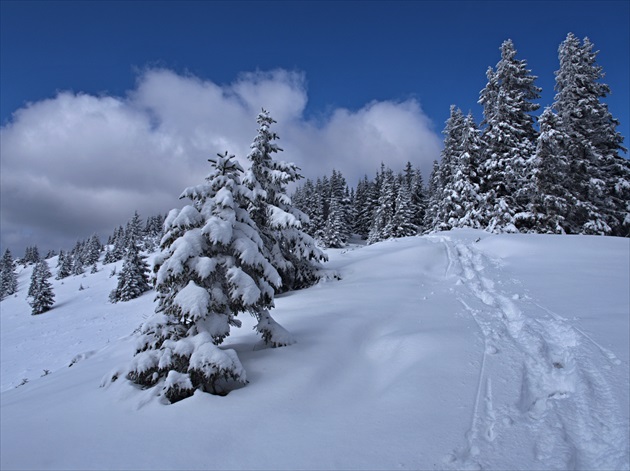 Veľka Fatra