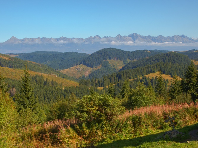 Pohľad na Tatry od oniska pri útulni Andrejcová 