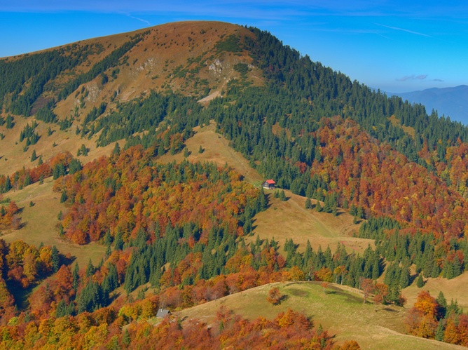  Borišov 1510 m.