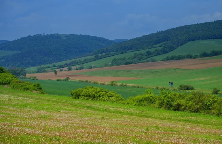 Potulky  krajinou 