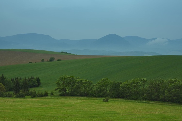 Cez kopce polia a lúky💙