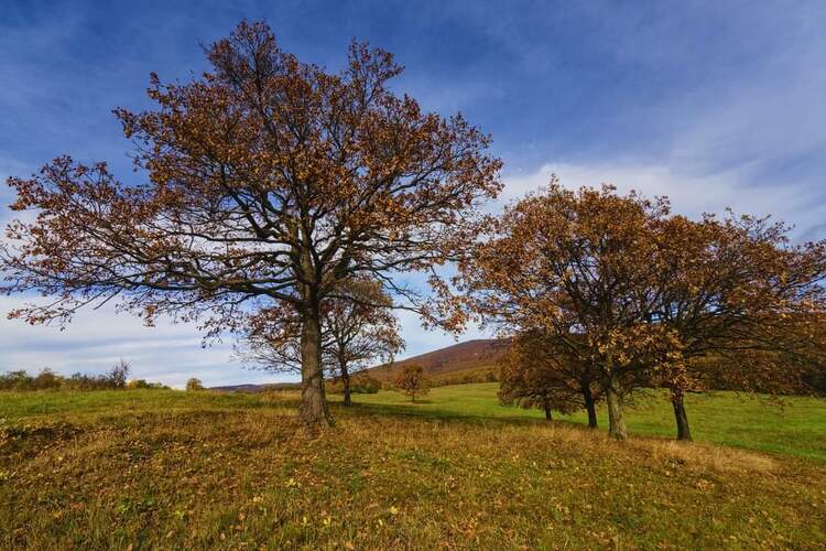 V tichu  prírody 🍂🍂🍂