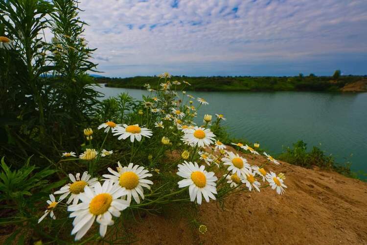 Letné  pohladenie 🌼