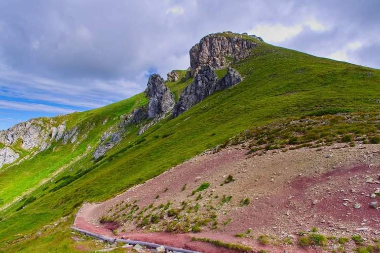 Cestičkou 