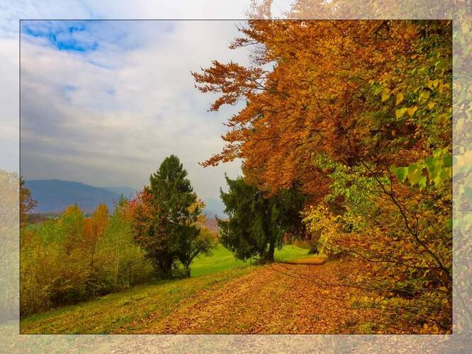 Jesennou cestičkou 🍂🍂🍂