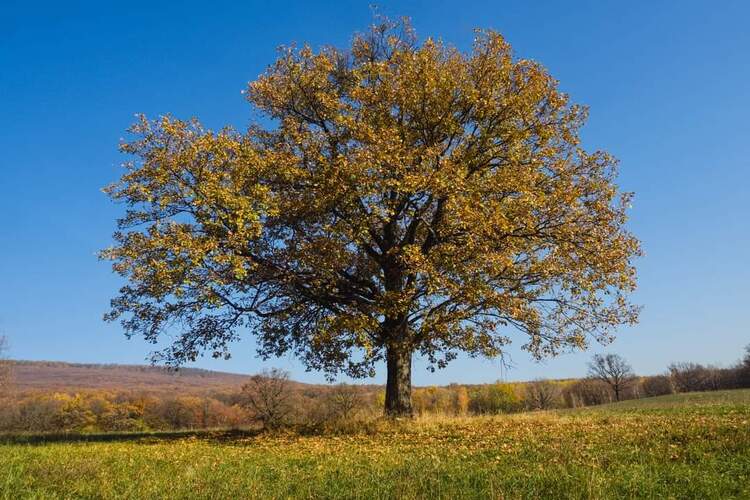 Cestou🍂🍁🍂