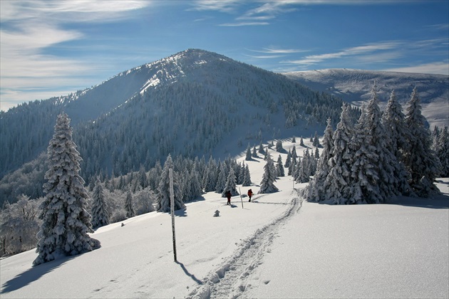 Cestičkou prešlapanou