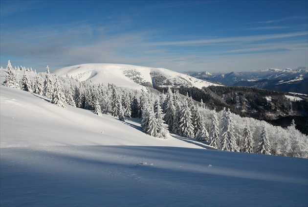 Ploská - kráľovná VF