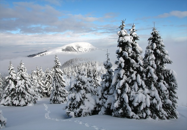 Veľkofatranská zimná.