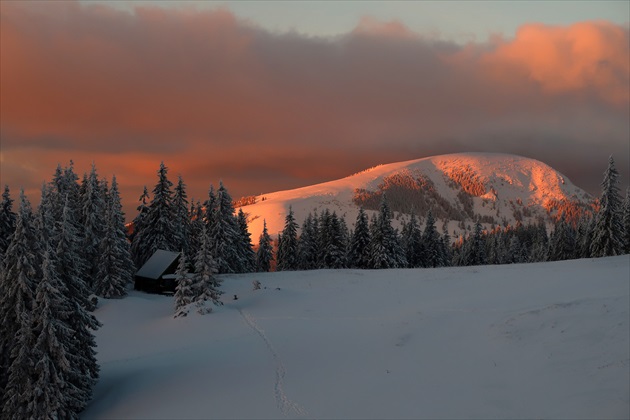 Po víchrici 29.12.2016 večer