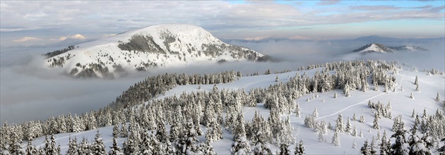 Borišovsko