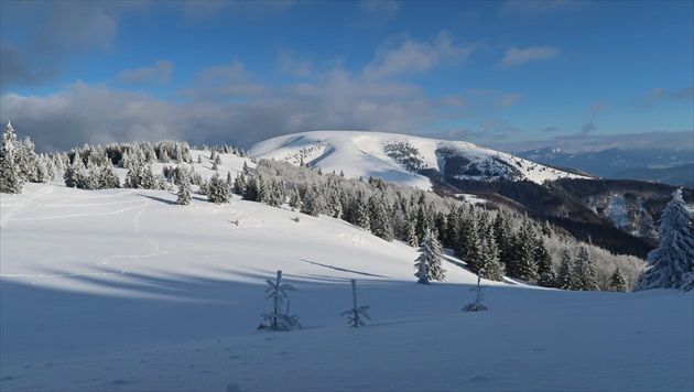 Kráľovná Ploská.