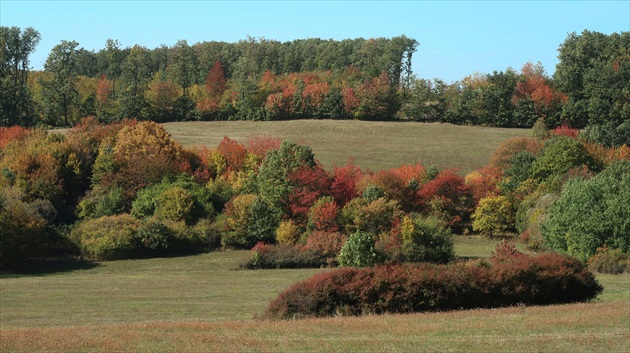 Senohradské lúky