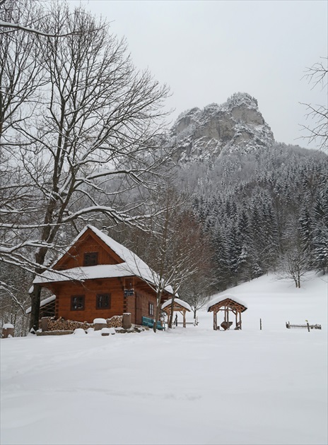 Podžiar