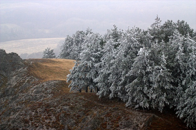 Malé Karpaty