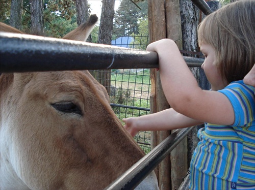 ZOO Bojnice